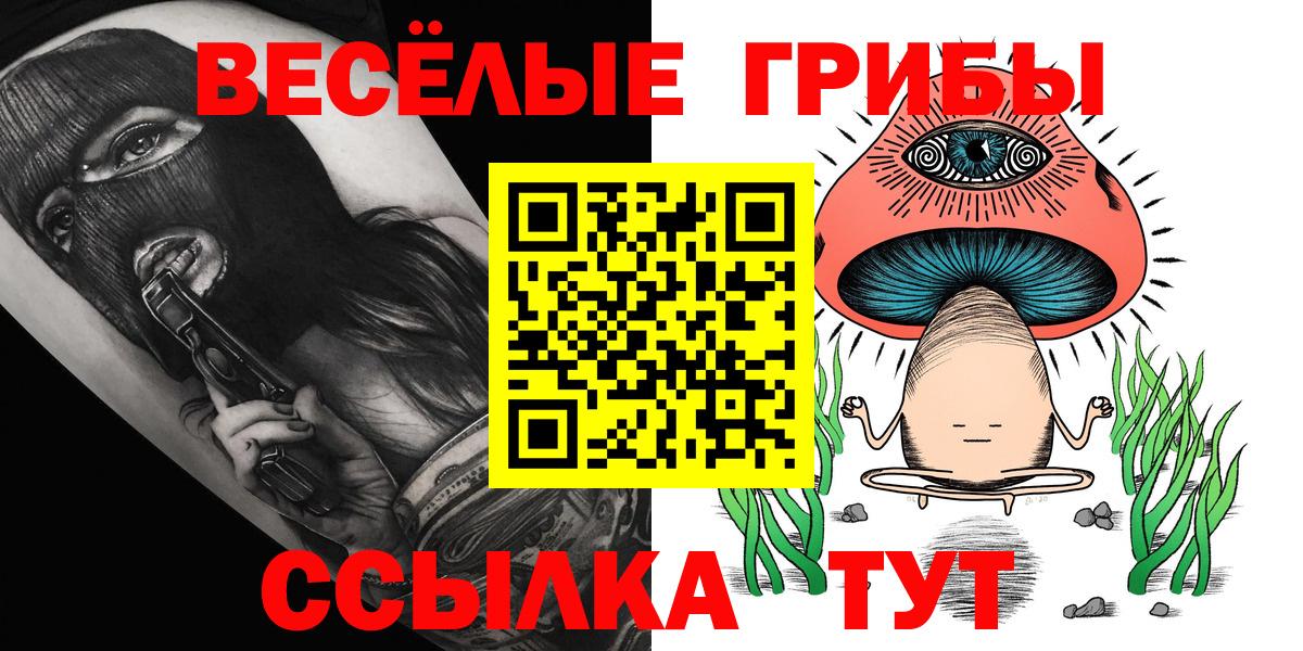Псилоцибиновые грибы Cubensis Кунгур