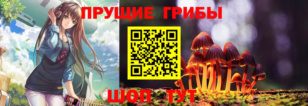 Псилоцибиновые грибы Psilocybine cubensis  Вход с VPN  Галлюциногенные грибы мухоморы  Кунгур 